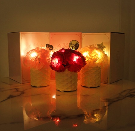 비아케이 미니 러브 카네이션 팟 LED 무드등 -mini love carnation pot LED